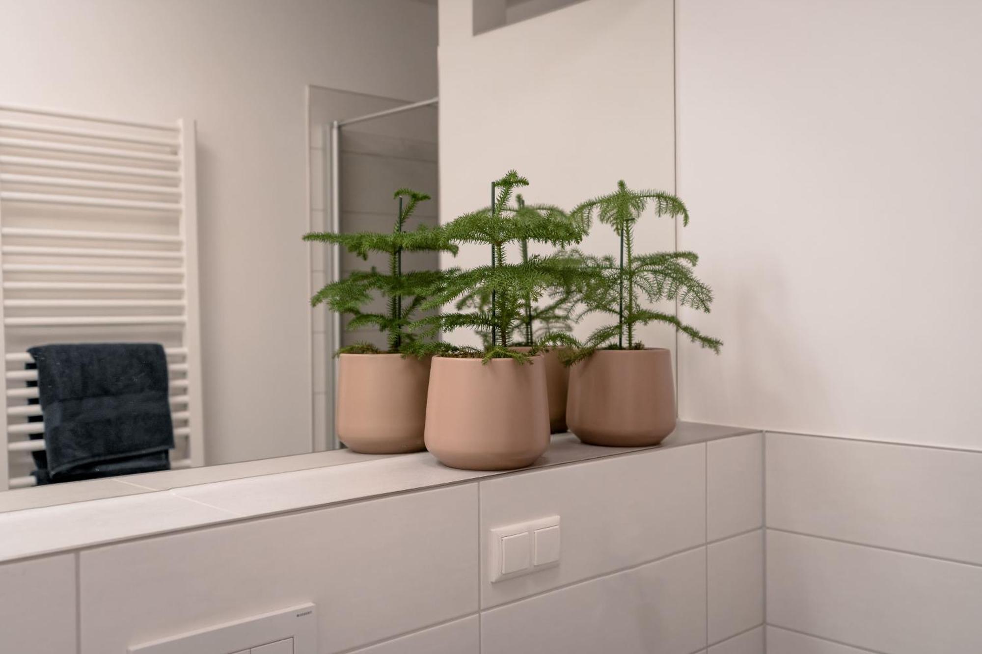 Ferienwohnung Altstadt Regensburg Eksteriør billede